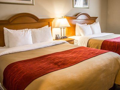 Comfort Jfk Airport New York