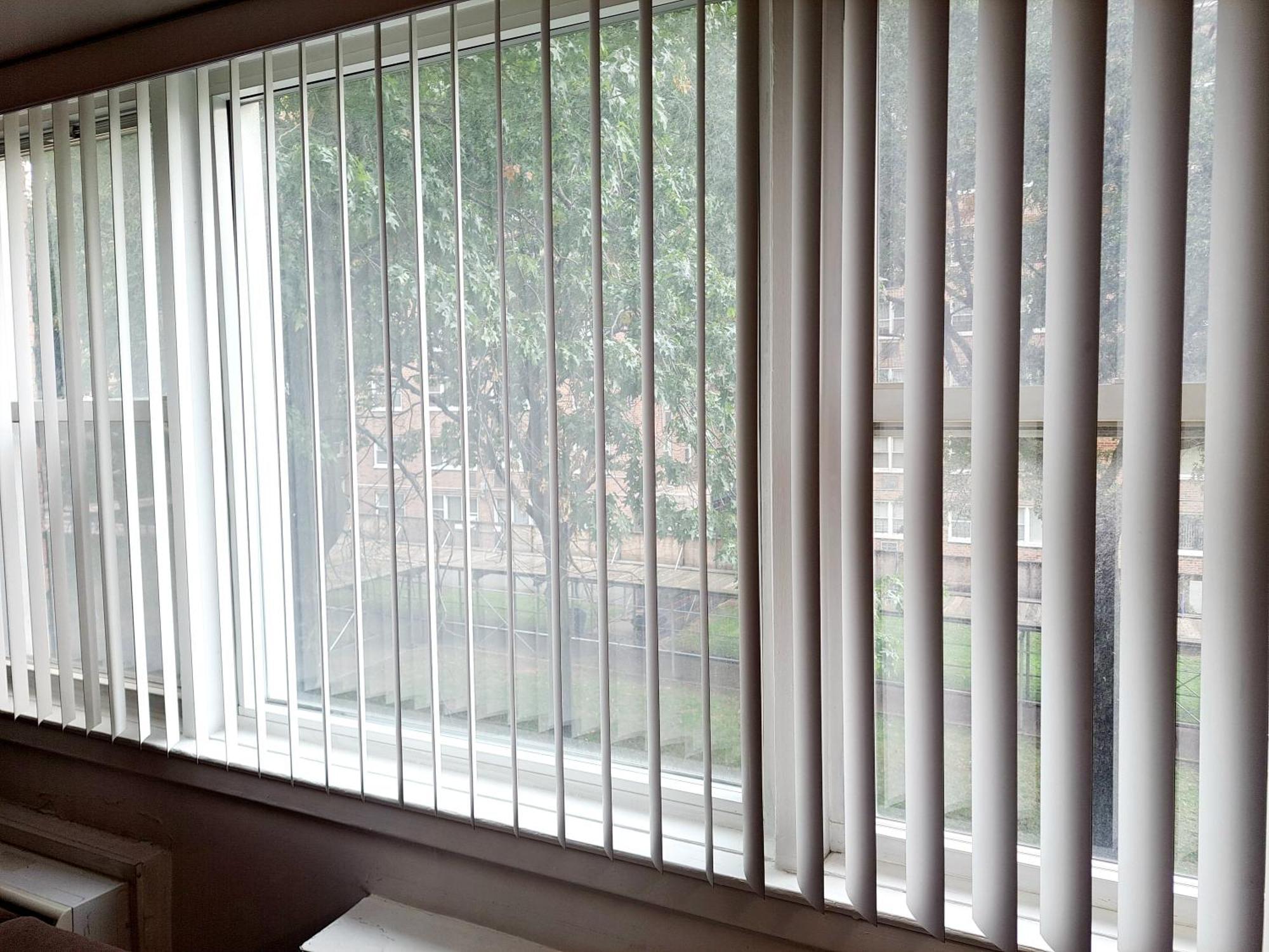 Apartment Piece Of Mind In Harlem