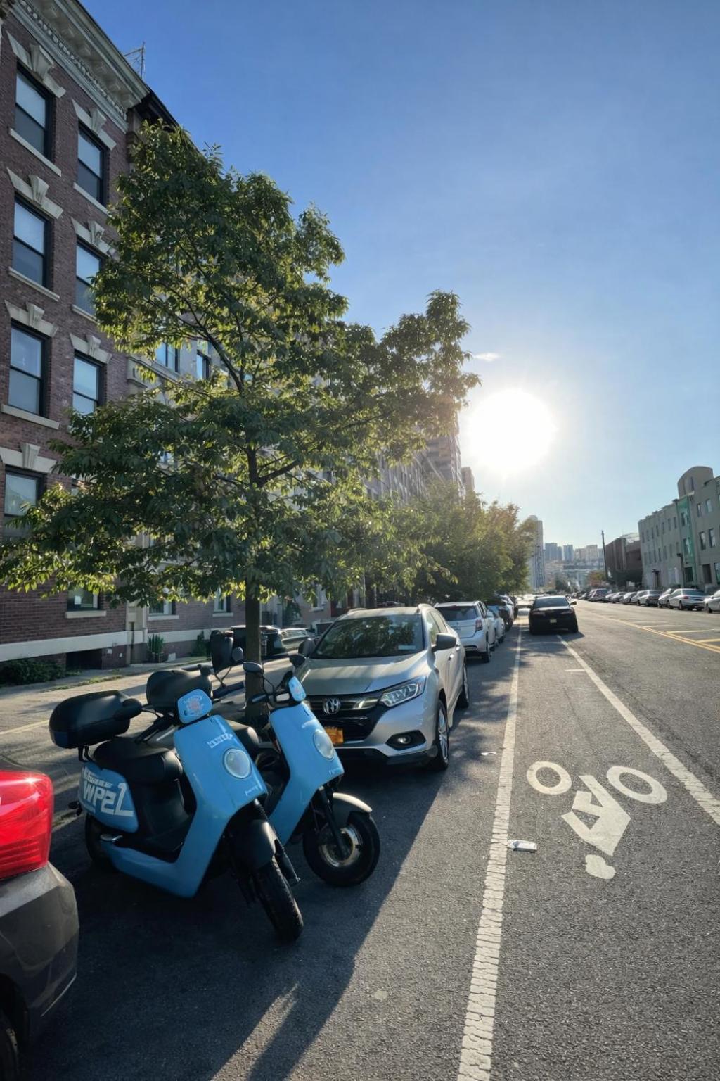 In A 2 Bedrooms Long Island City, Kitchen And Bathroom Shared With Very Host New York