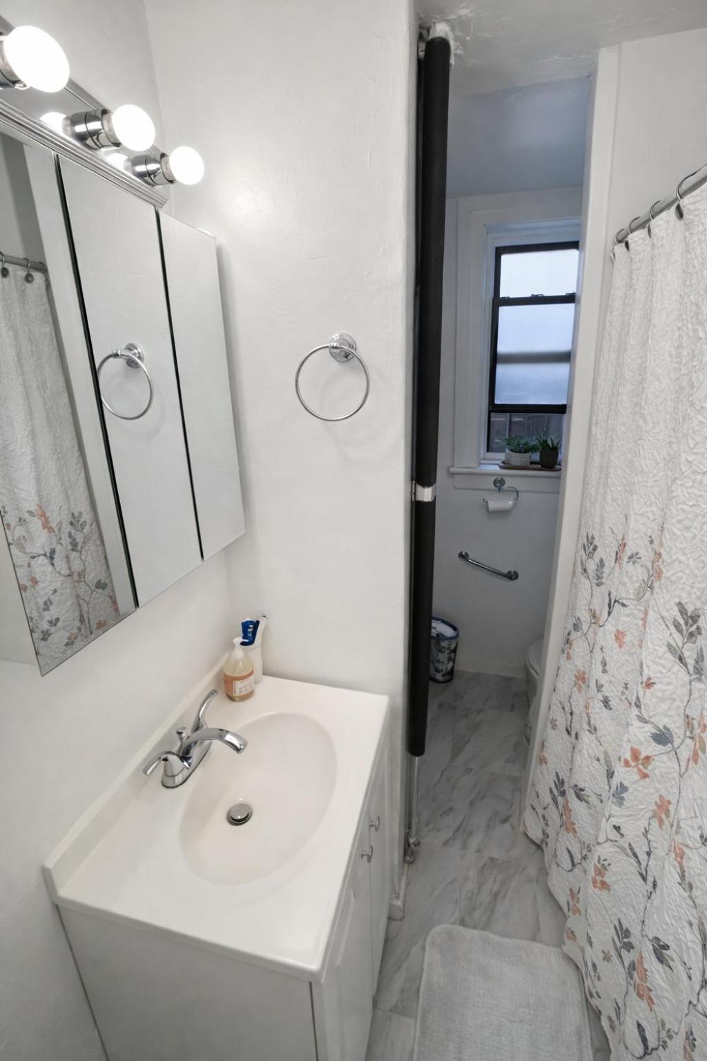 Apartment In A 2 Bedrooms Long Island City, Kitchen And Bathroom Shared With Very Host