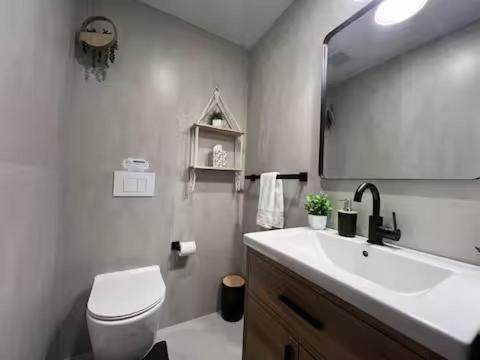 Beautiful Gowanus Townhome Apartment New York