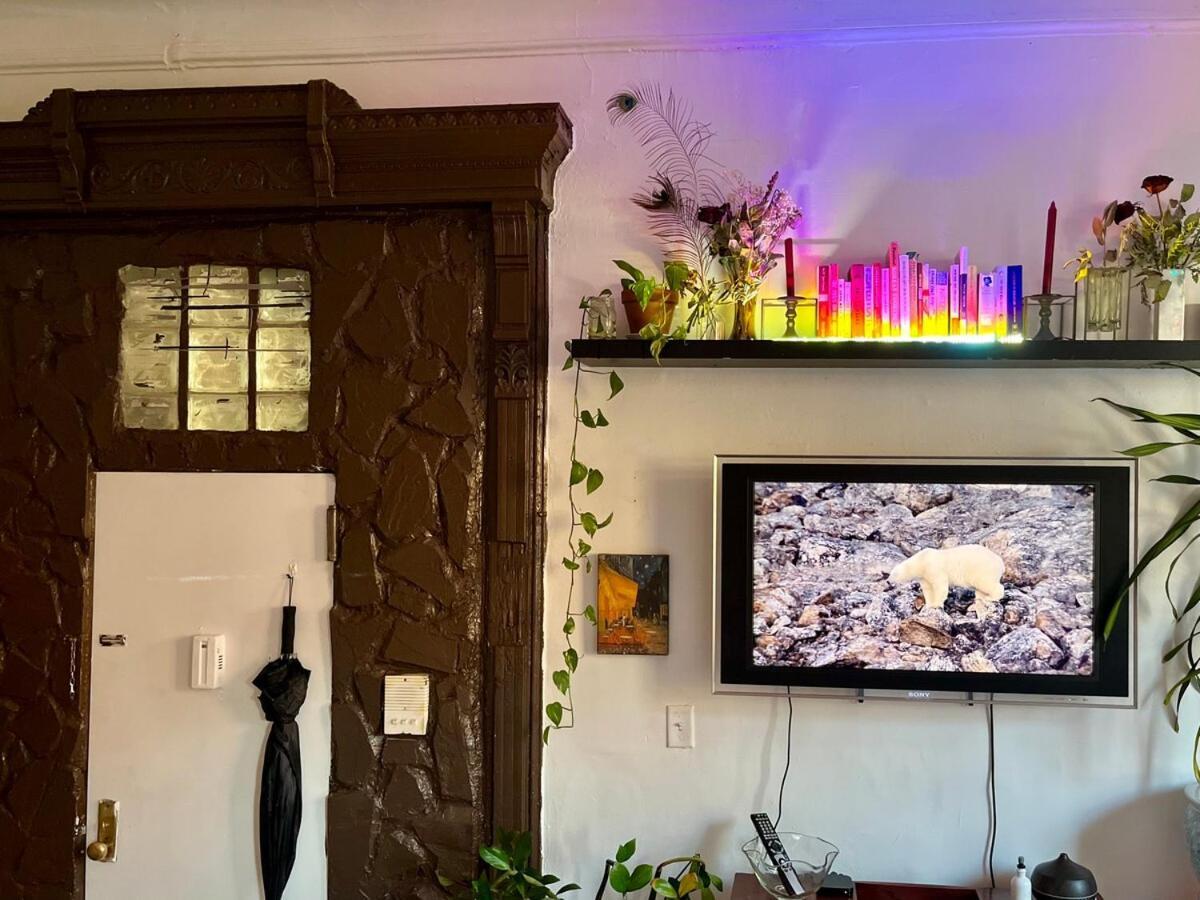 Unique Brooklyn Brownstone Bedstuy New York