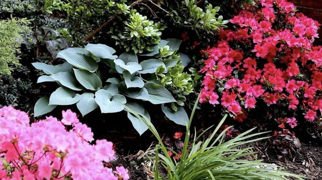 Piece Of Mind In Harlem