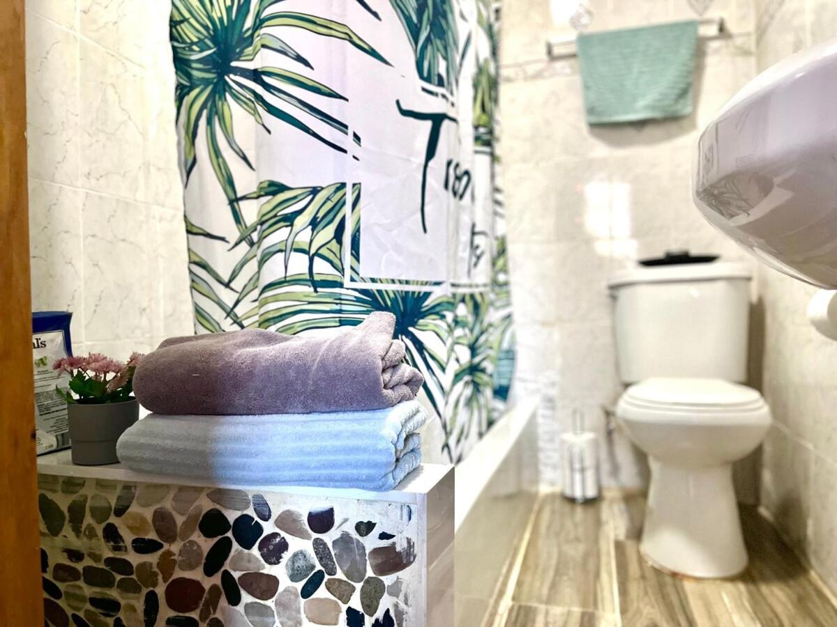 Unique Brooklyn Brownstone Bedstuy New York