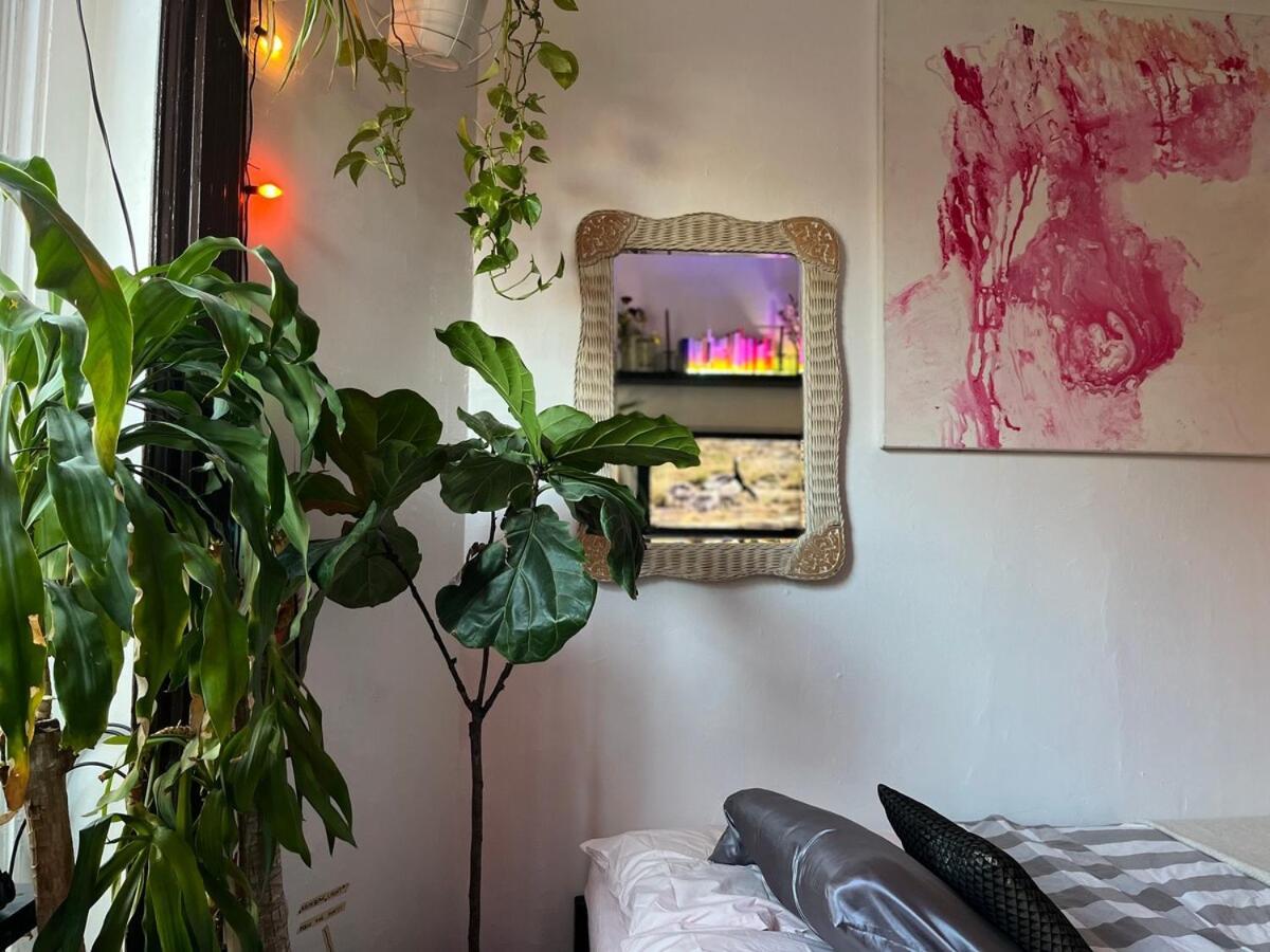 Apartment Unique Brooklyn Brownstone Bedstuy New York