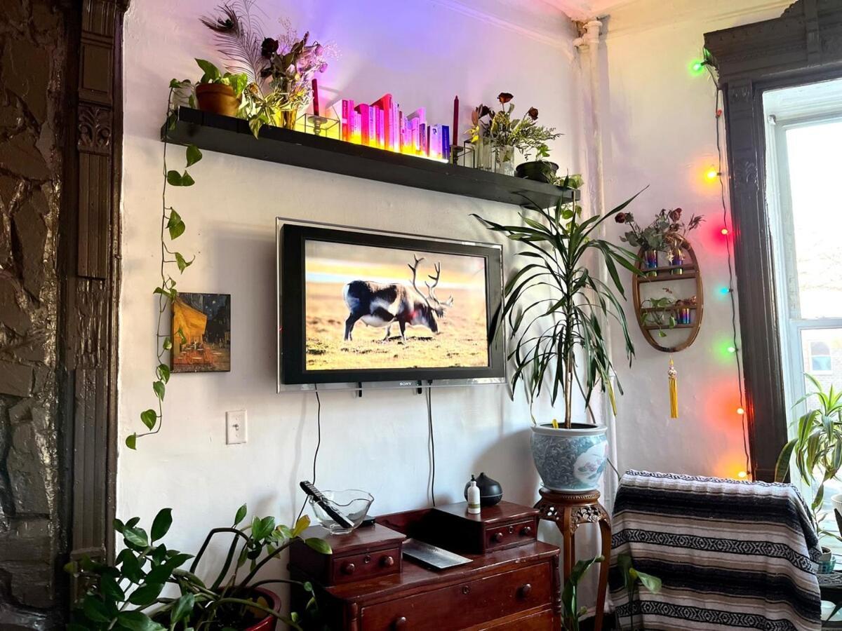 Unique Brooklyn Brownstone Bedstuy * New York