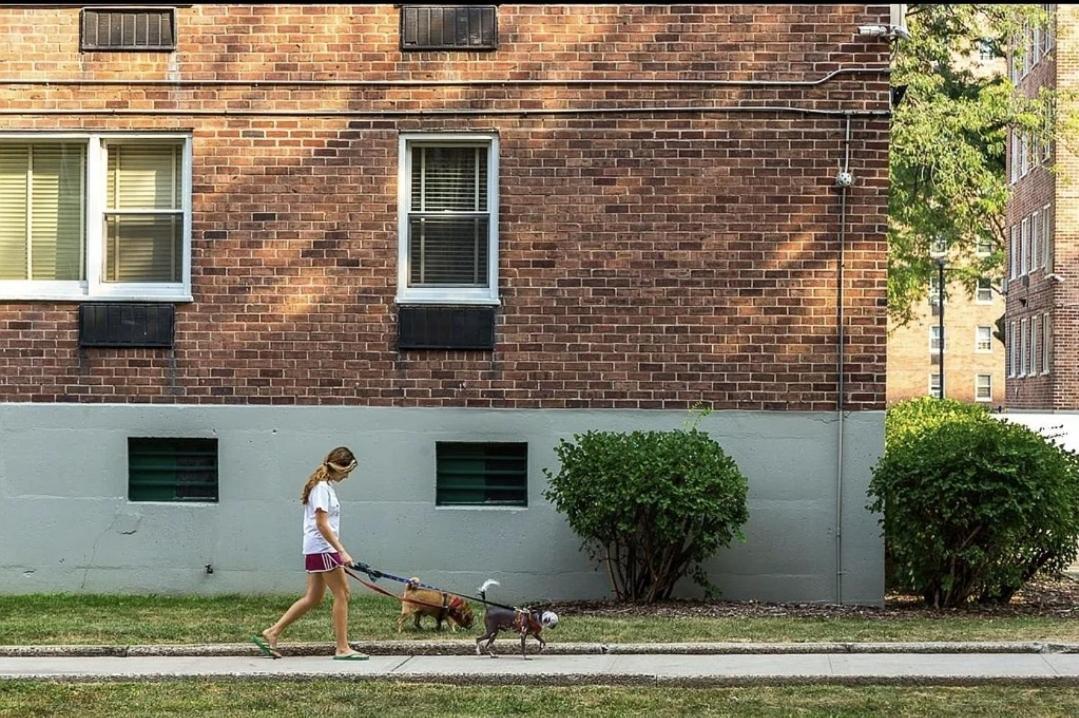 Piece Of Mind In Harlem Apartment *