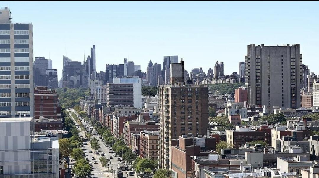 Piece Of Mind In Harlem *