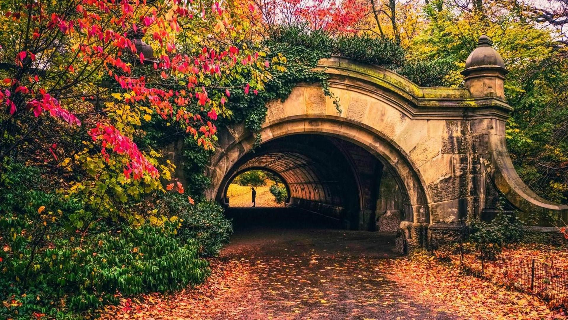 Brooklyn Beautiful *
