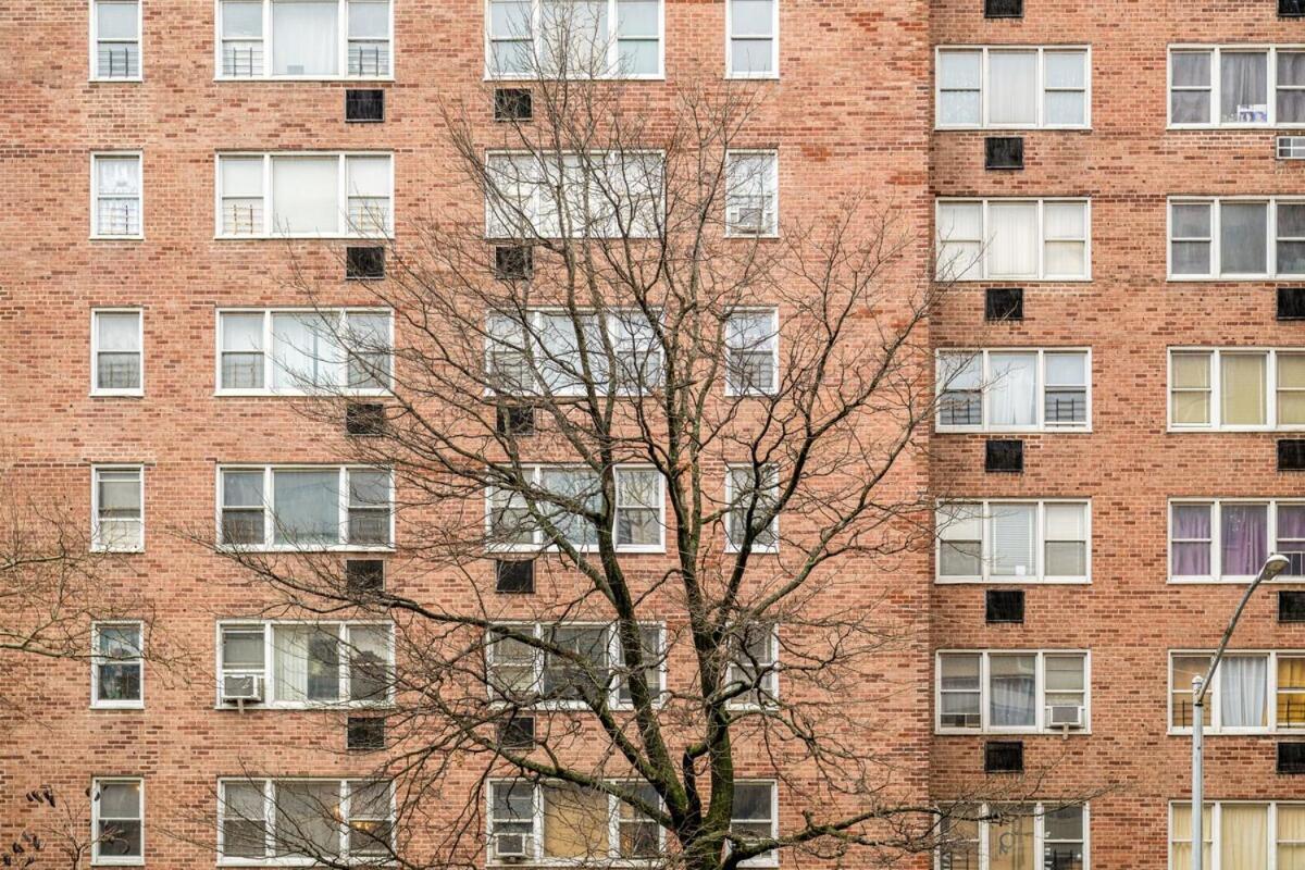 Piece Of Mind In Harlem Apartment *