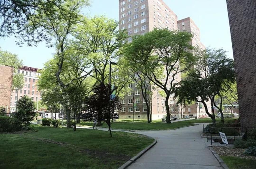 Piece Of Mind In Harlem *