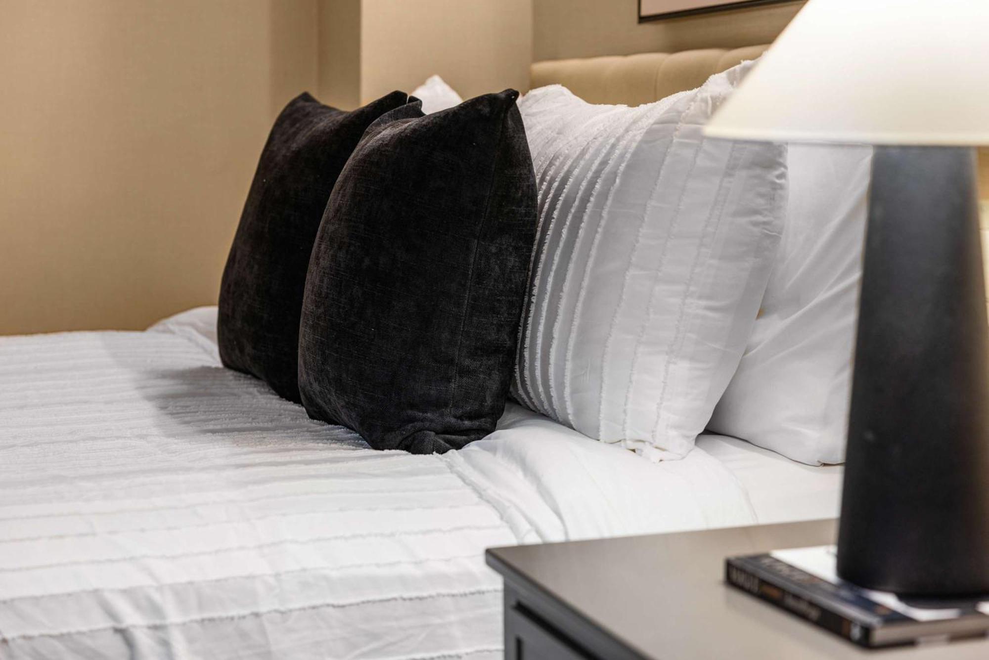 Apartment Stunning In The Heart Of Gym New York