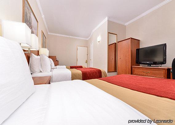 Comfort Chelsea 2* New York