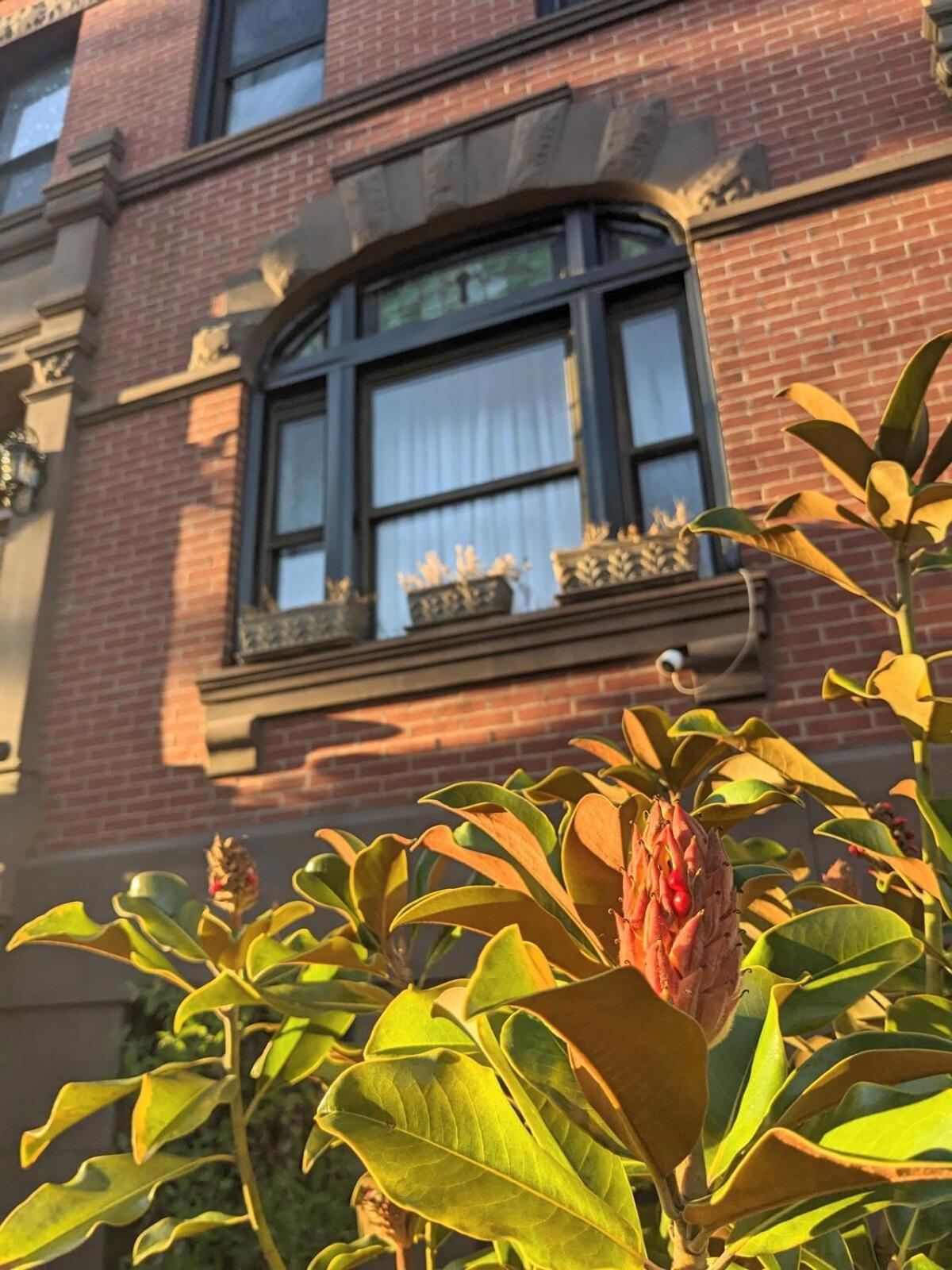 Apartment Luxury Duplex In 1880s Brownstone W Private Garden