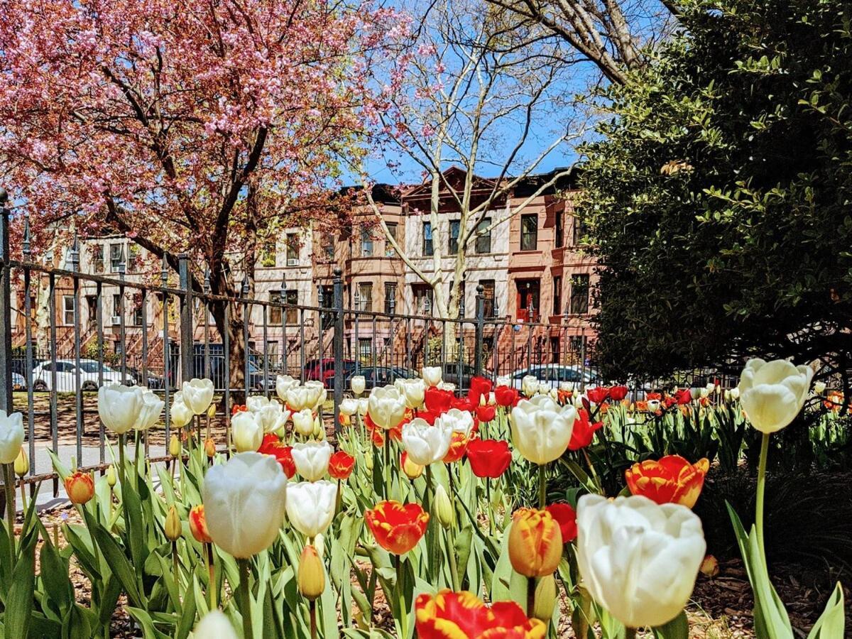 Luxury Duplex In 1880s Brownstone W Private Garden *