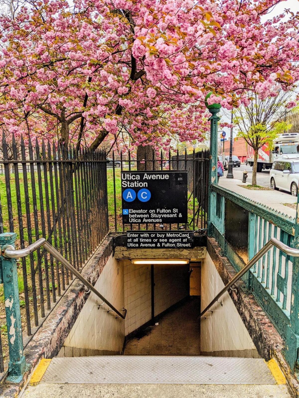 Luxury Duplex In 1880s Brownstone W Private Garden New York