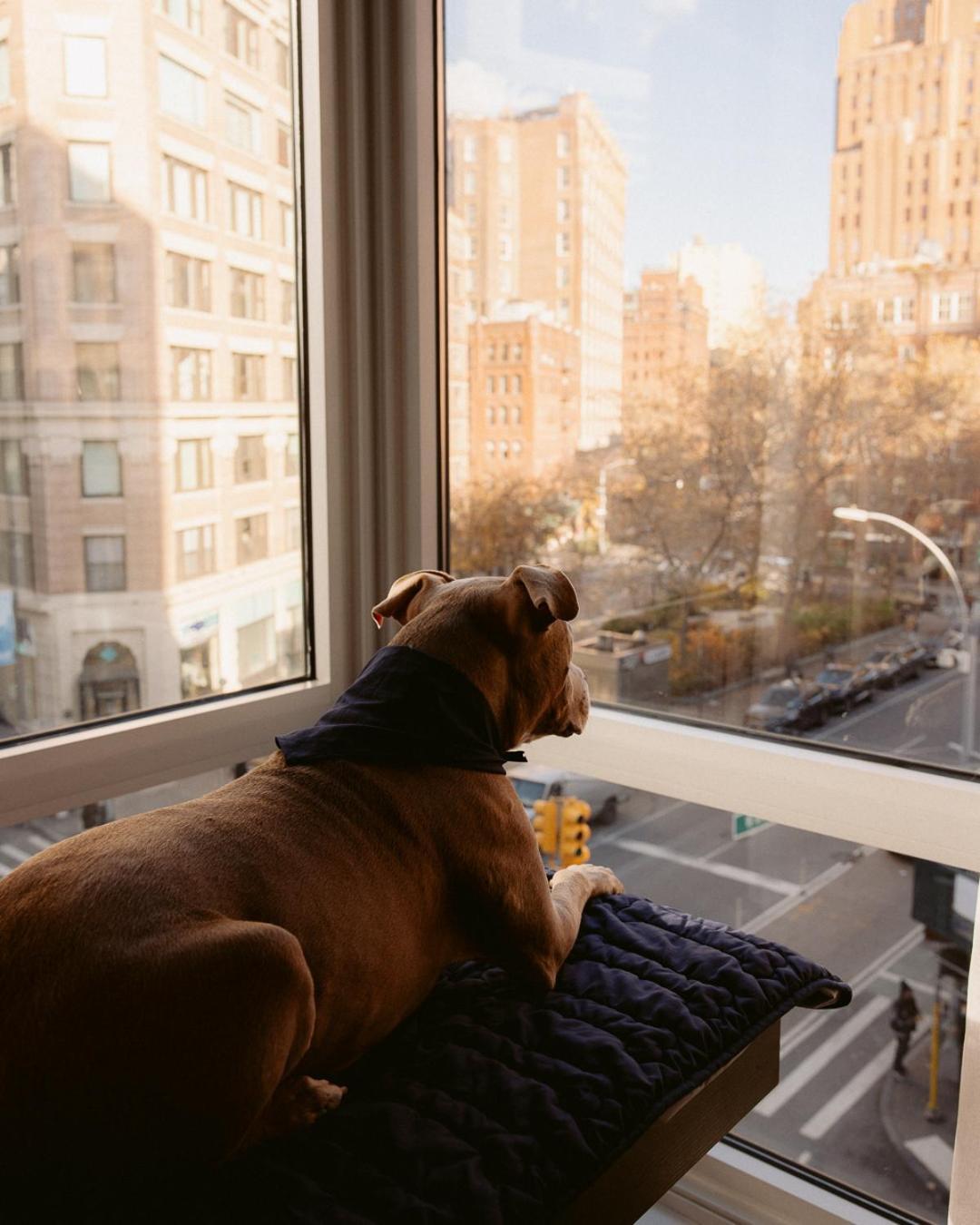 Smyth Tribeca Hotel 4*