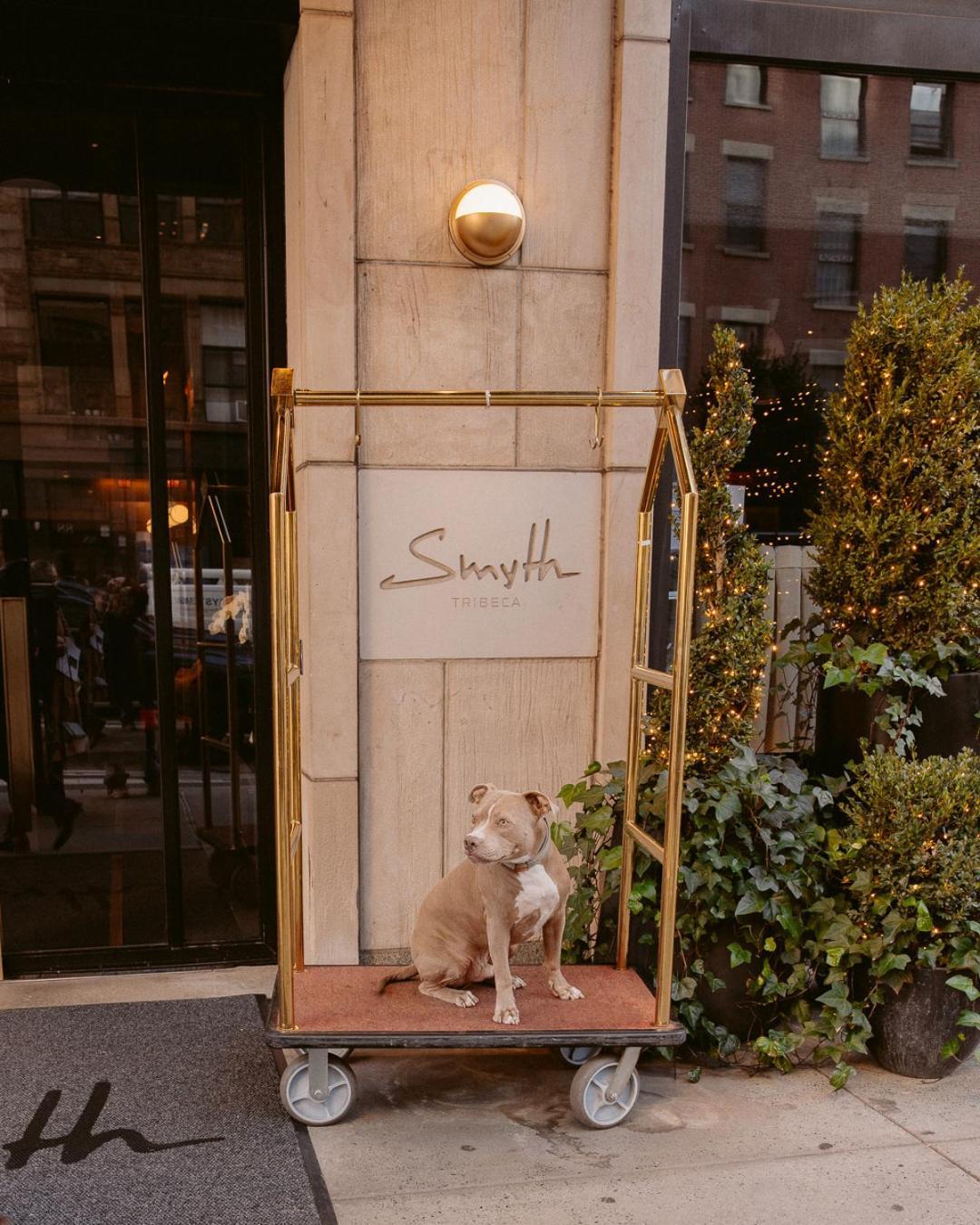 Smyth Tribeca Hotel 4*