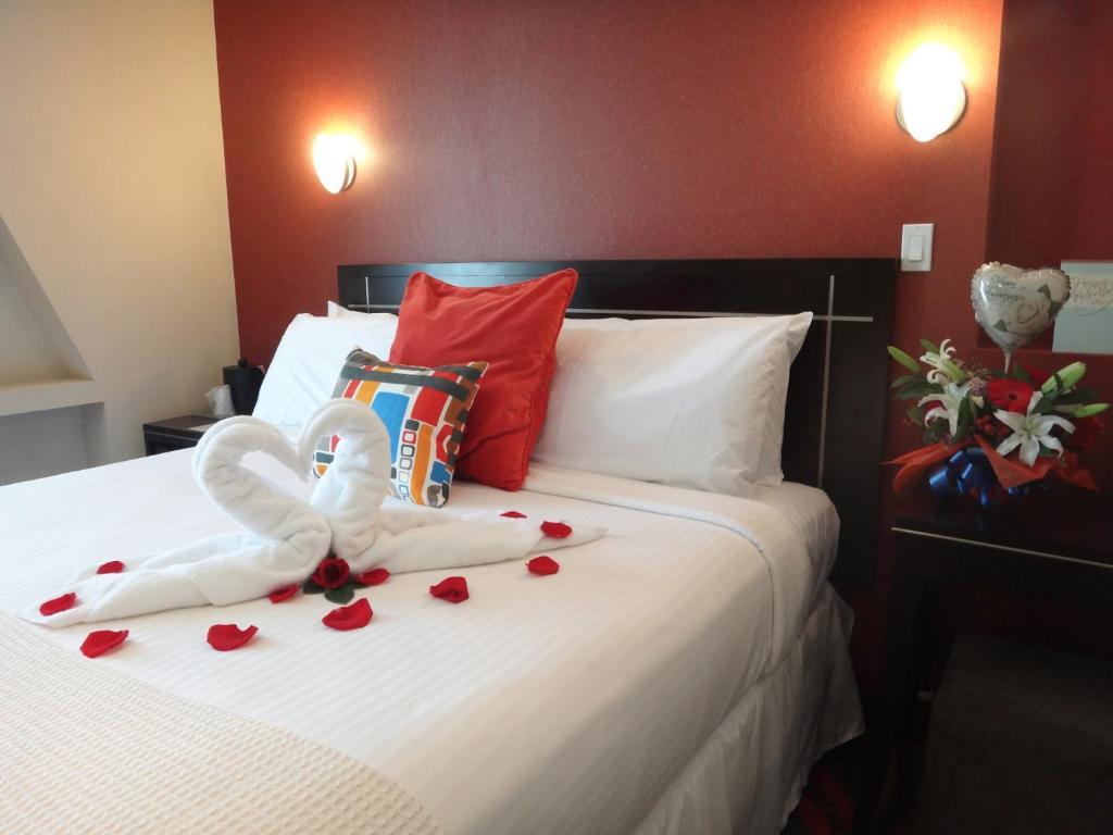 Hotel Nesva - Vista (adults Only)