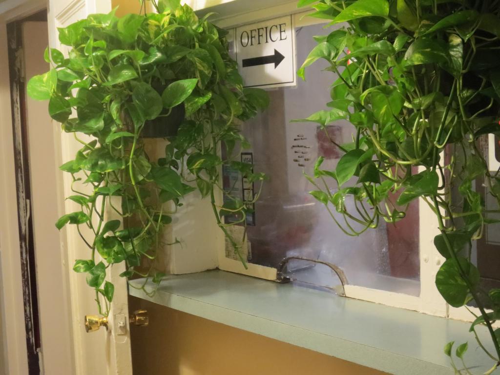 Hotel Neptune New York