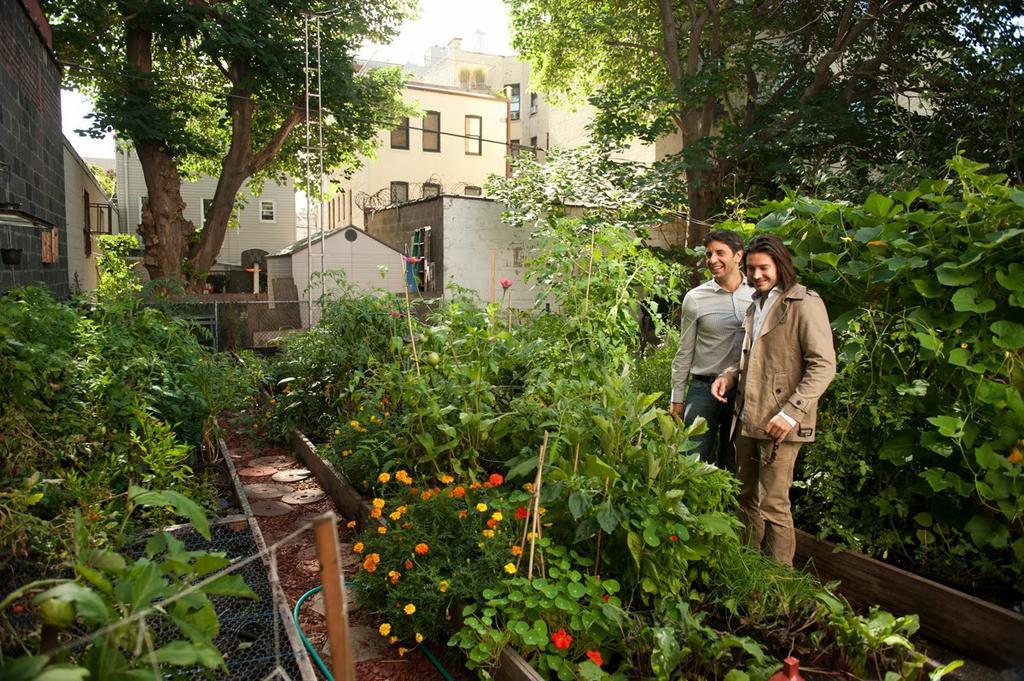 Apartment Modern/rustic Garden New York