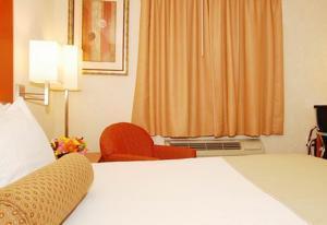 Western Jfk Airport 3*