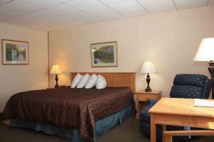 Western Jfk Airport 3* New York