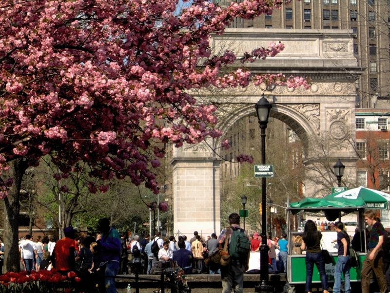 Washington Square Hotel