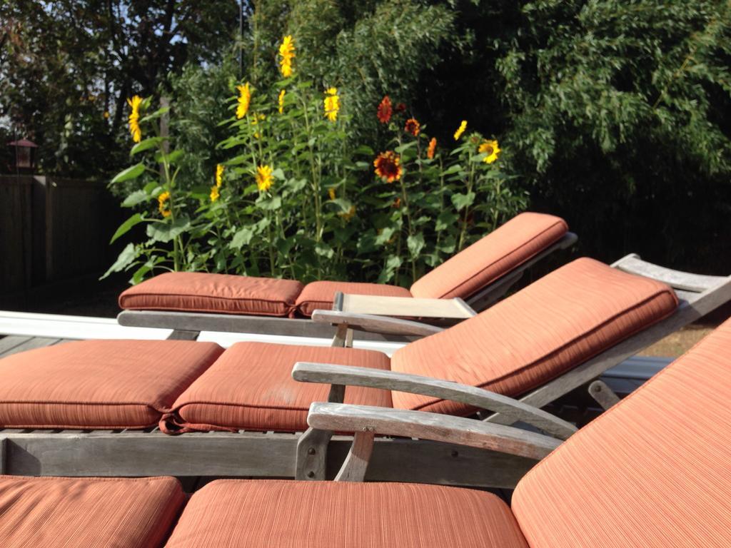Ocean View