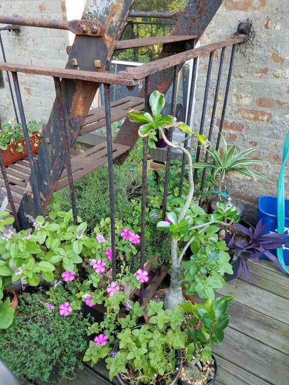 Apartment Brownstone Loft 30 Day Bookings New York