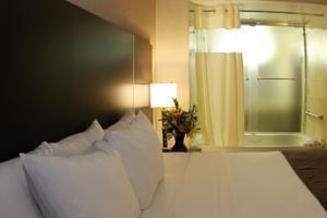 Days By Wyndham Jamaica / Jfk Airport Hotel