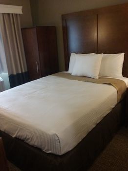 The Metropolitan New York