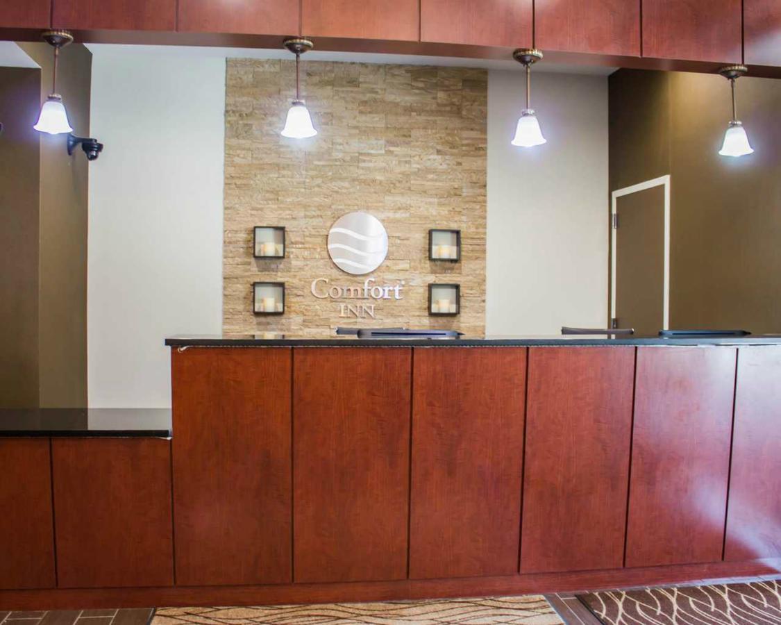 Comfort Jamaica Downtown New York