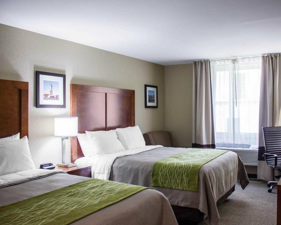 Comfort Jamaica Downtown