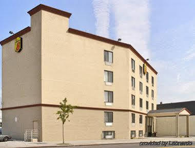 Knights - Jfk Airport New York