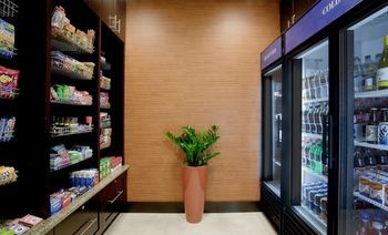 Hilton Garden Nyc Financial Center/manhattan Downtown 3*