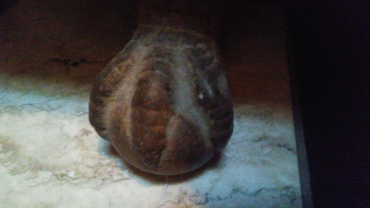 The Harlem Flophouse 2* New York