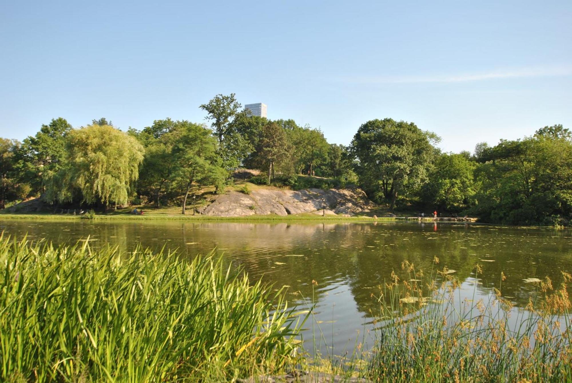 Nyc Apartment New York