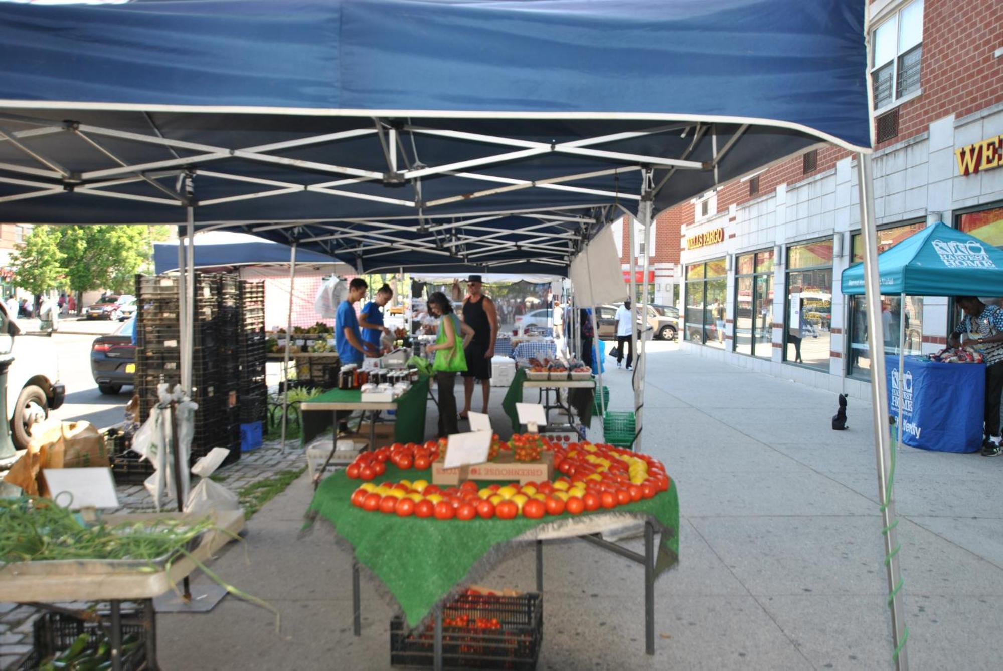 Apartment Nyc New York