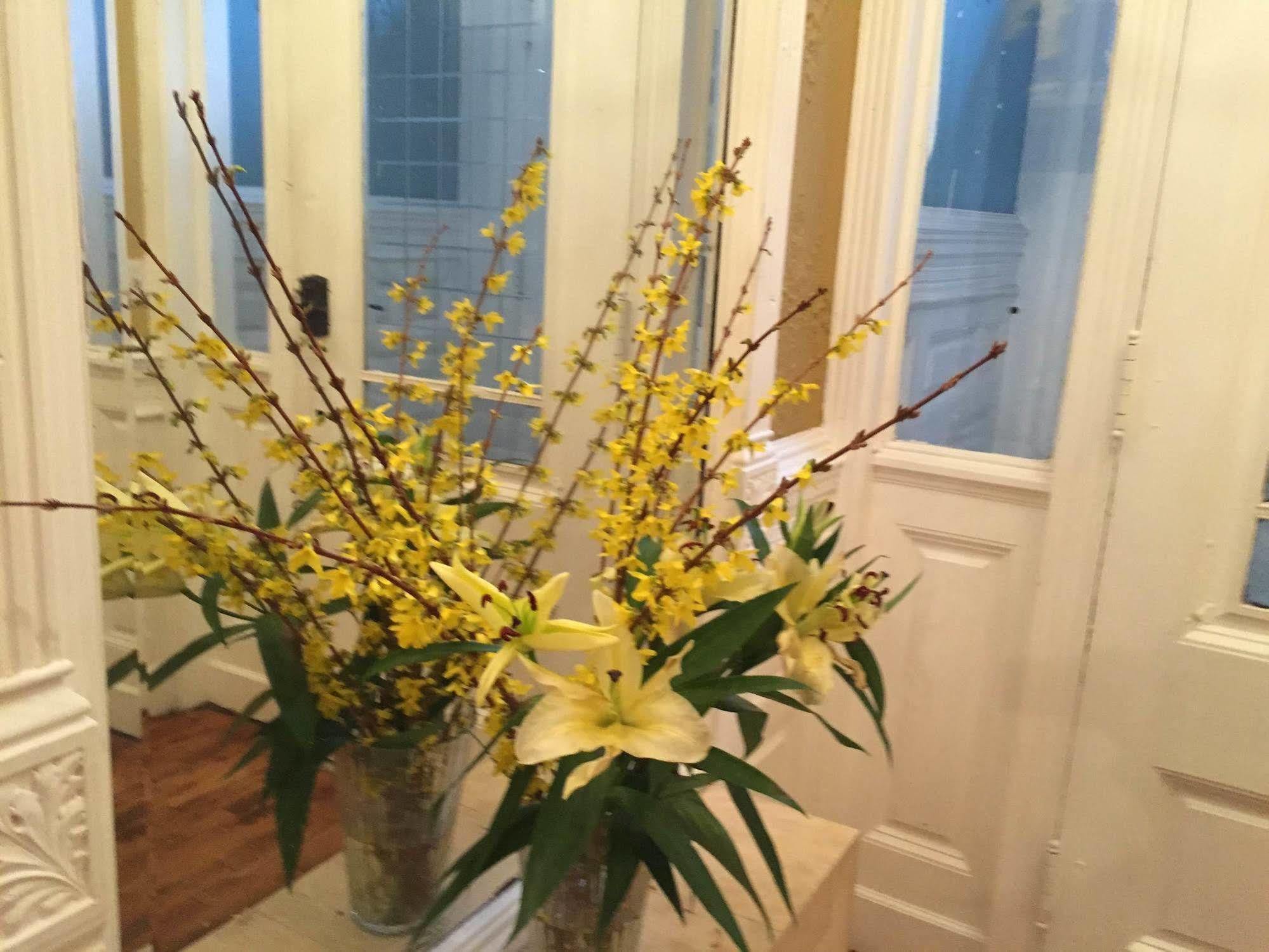 Hotel The Melva - Harlem New York