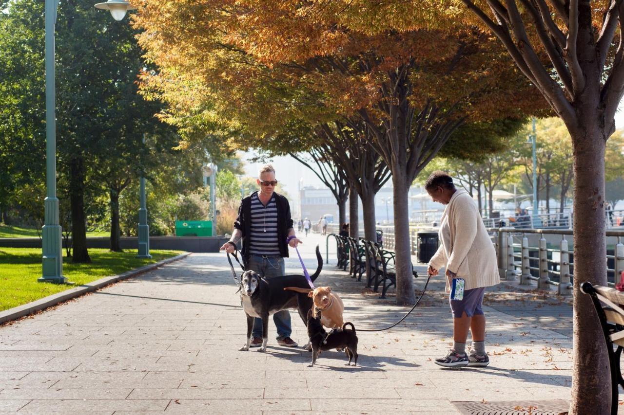 West 20th Street By Onefinestay Apartment *