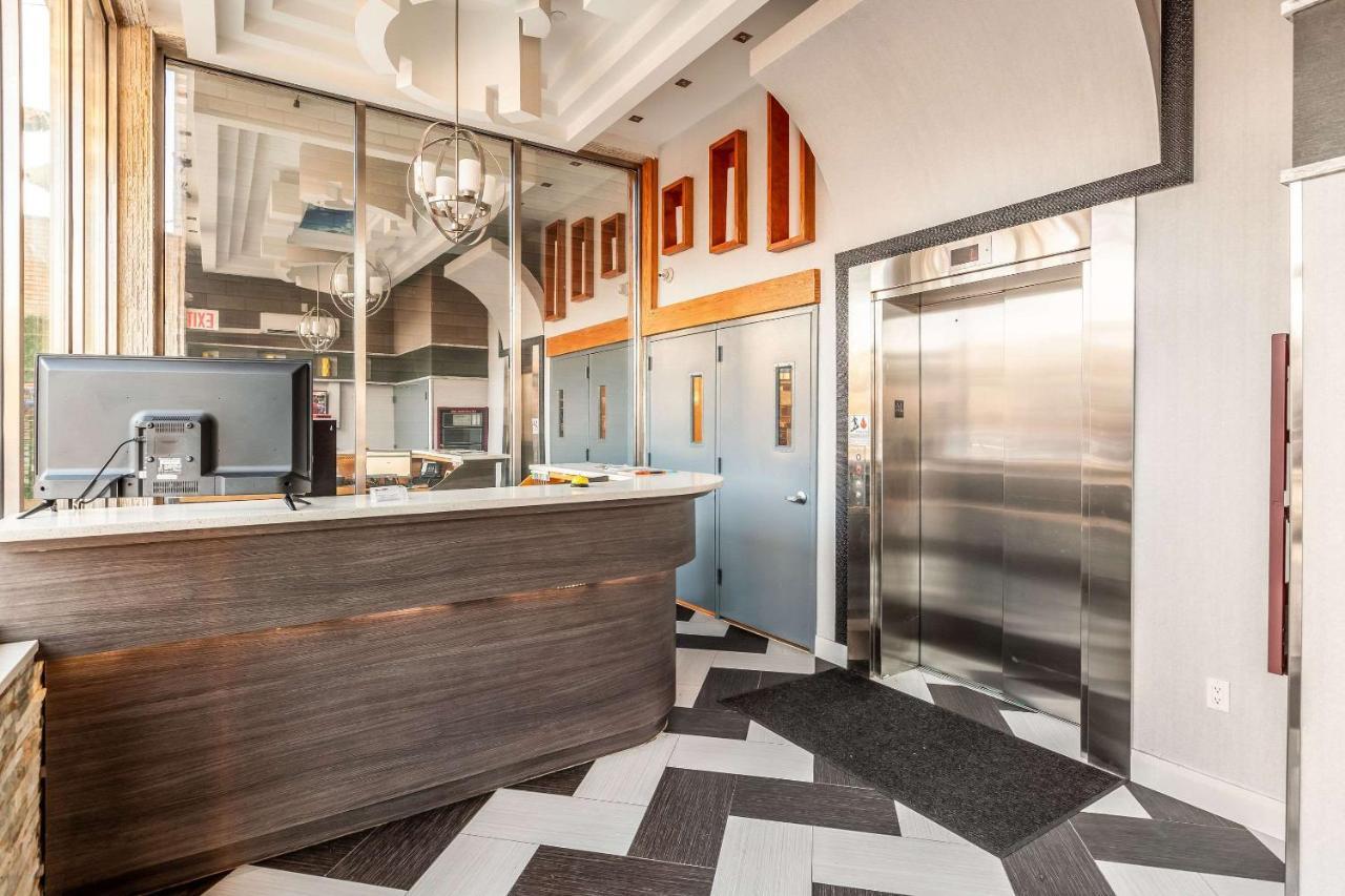 Hotel Umbrella Brooklyn