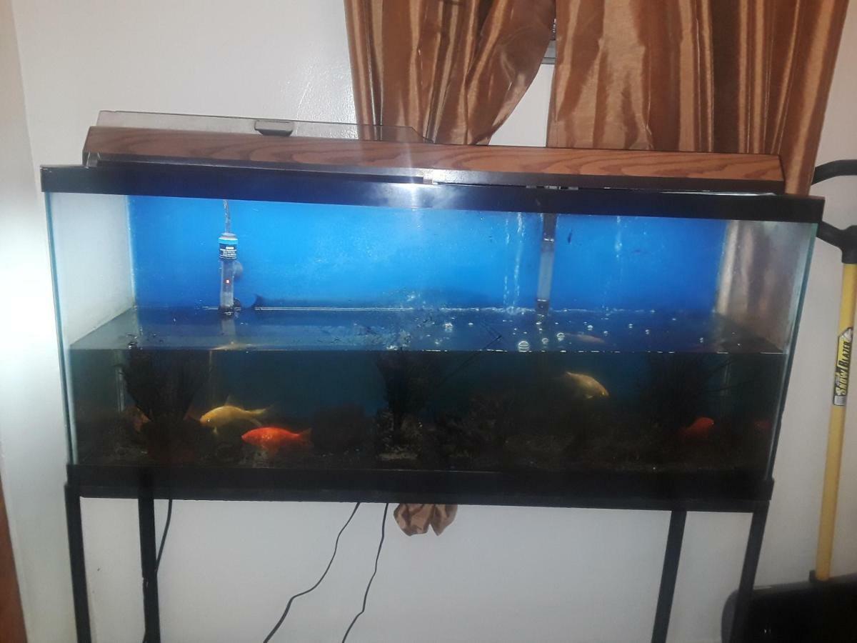 5 Min. From Jfk Guest house