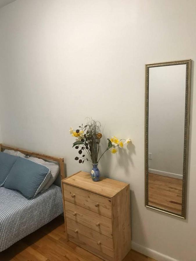 Spacious Brooklyn Flat New York