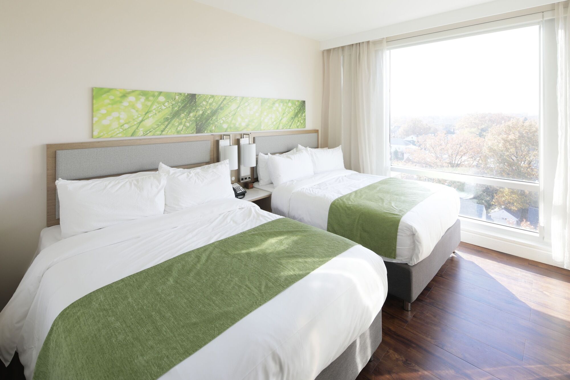 Hotel Wyndham Garden Fresh Meadows Flushing 3*