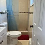 A Cheap Family In Queens New York