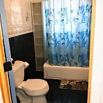 Explore From Queens Apartment