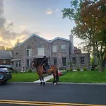 Luxury Hotel-Style Room In Queens, New York