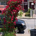 Cheerful 2 Bed Rooms Apartment In Heart Of Queens