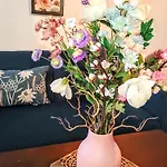 Explore From Queens Apartment